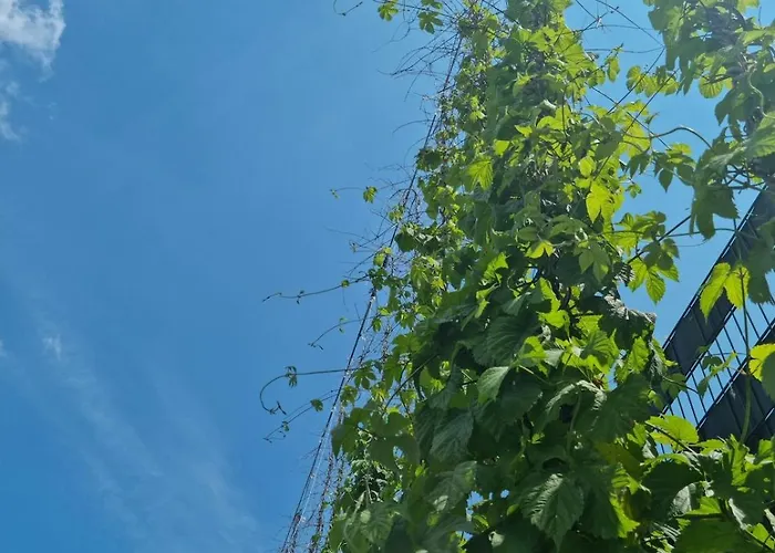 Einzigartiges Industrie Loft Atelier *